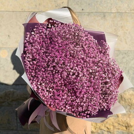 Розовое облако гипсофилы 21 шт (E053)