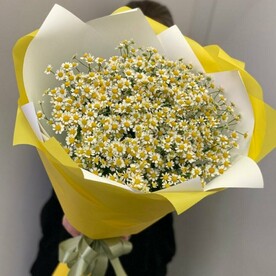 Монобукет из нежных ромашек 15 шт  (E240)