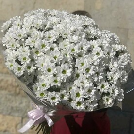 Ромашки хризантемы большой букет (E303)