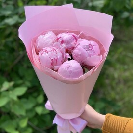 Букет из 5 пионов Сара Бернар