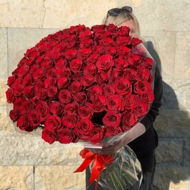 Шикарный букет 101 алая роза (E331)