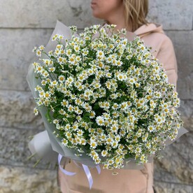 "Ромашковое поле" (арт.225)