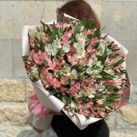 Монобукет из нежных альстромерий 51 шт (E208)