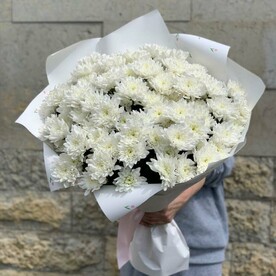Большой букет белых хризантем 15 шт (E239)