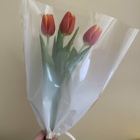 Тюльпаны красные