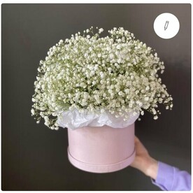 Коробка из гипсофилы Белое облако