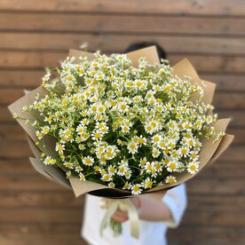 Букет Ромашки