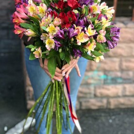 Букет Соло Альстры