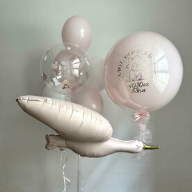 Шары на выписку Аист любви