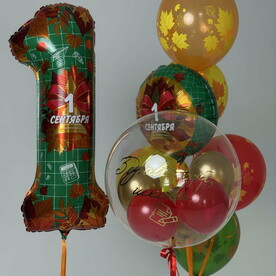 Шары для школы