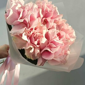 Парижская мечта