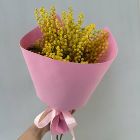 Нежная мимоза (мини)