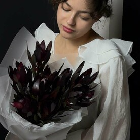 Леукадендрон Сафари. Необычно и стойко