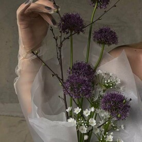 Аллиум. Оформление красоты