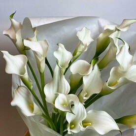 Белоснежные каллы