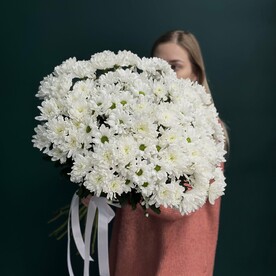 Хризантема белая кустовая и ромашка с атласной лентой