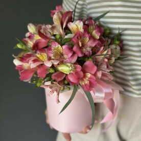 Яркая розовая альстромерия в коробочке