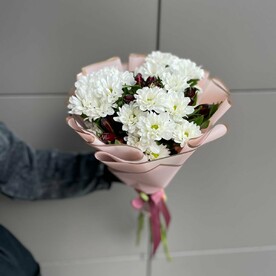 Французский мотив