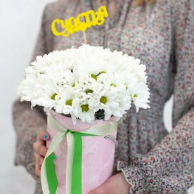 Ромашковая песня лета