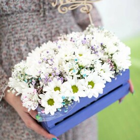 Лето в ромашках