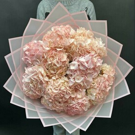 Букет с розовыми Гортензиями 9 шт