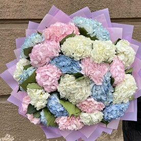 Большой букет с разноцветными Гортензиями 25 шт