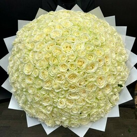 201 белая роза Аваланж 70 см