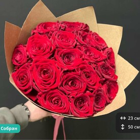 Красные Розы 19 шт