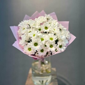 Ромашки Хризантемы 5 шт