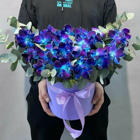 Орхидея Космос в коробке