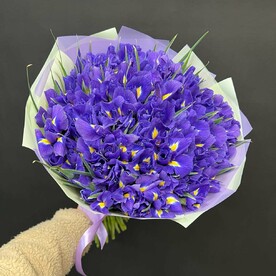 Букет с Ирисами 101 шт