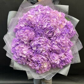 Фиолетовая Гортензия 15 шт