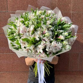 Белая Альстромерия 51 шт