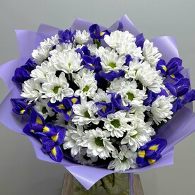 Яркие Ирисы с кустовой Хризантемой