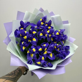 Яркие Ирисы