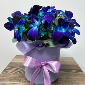 Коробка с орхидеями Космос