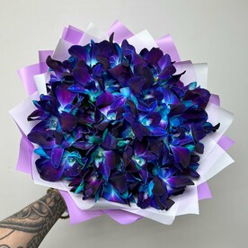 Орхидея Космос