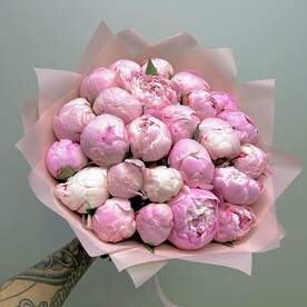 Ароматные розовые Пионы Sarah 25 шт