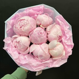 Розовые пионы Sarah 7 шт