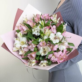 Альстромерия бело-розовый микс