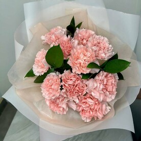 Розовые диантусы