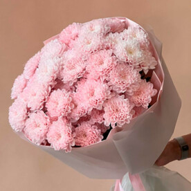 Пышные букет хризантем « клубничный зефир»