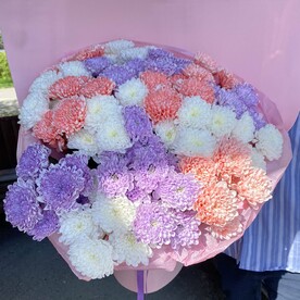 Букет гигант из цветных кустовых хризантем