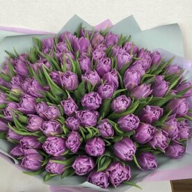 Пионовидный тюльпан 101 шт