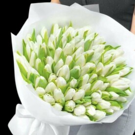 Белые тюльпаны 101 шт