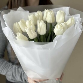 Тюльпан белый 19 шт