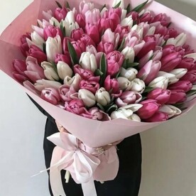 Тюльпан микс 101 шт