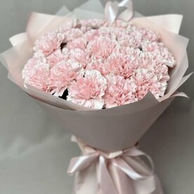 Диантусы розовые 25 шт