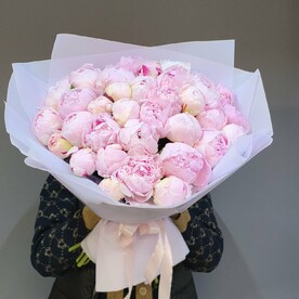 Ароматные розовые пионы 31 шт