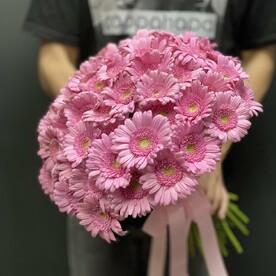 Гермини(герберы)55штук